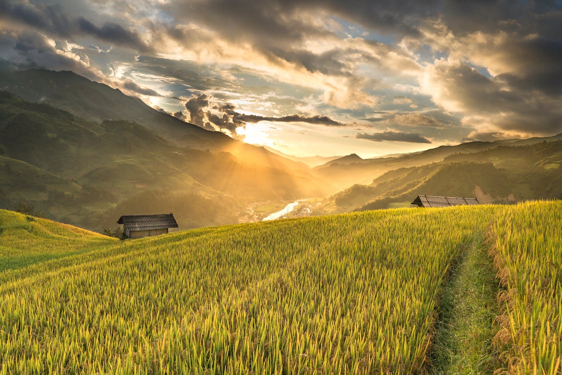 green-field
