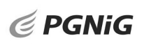 pgnig